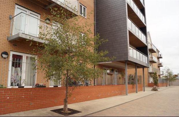 Vetrelax Chelmsford Apartment Εξωτερικό φωτογραφία