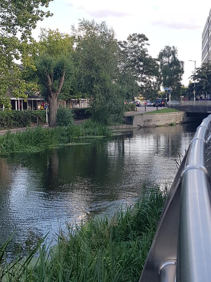 Vetrelax Chelmsford Apartment Εξωτερικό φωτογραφία
